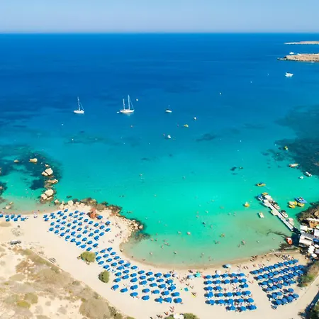 Avian Paralimni