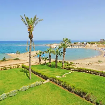 Avian Paralimni